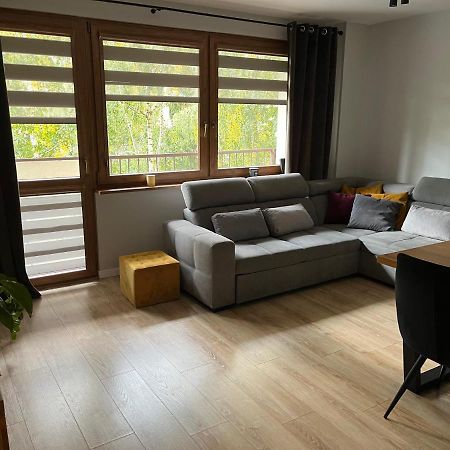 Komfortowe Mieszkanie Островець-Свентокшиський Екстер'єр фото